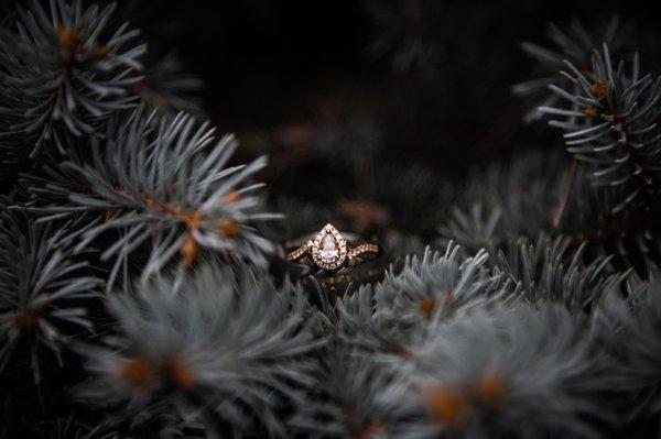 Klara Ann Photography