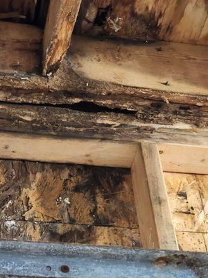 Damage to the structure