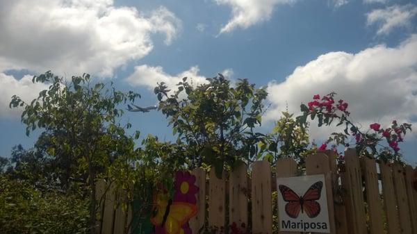 Children's Ethnobotany Garden