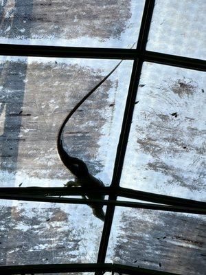 Bonita Wonder Gardens Inc