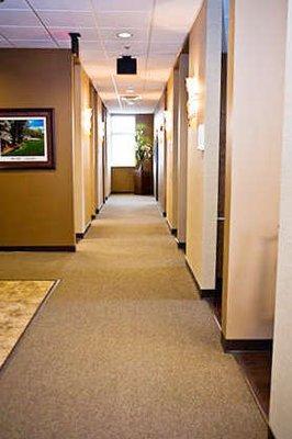 We have worked very hard to create a calming and inviting office atmosphere.