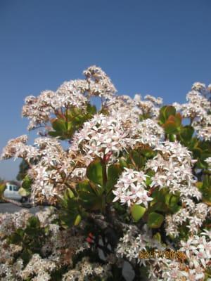San Gabriel Convalescent Center