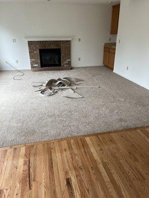 Blue Valley Flooring