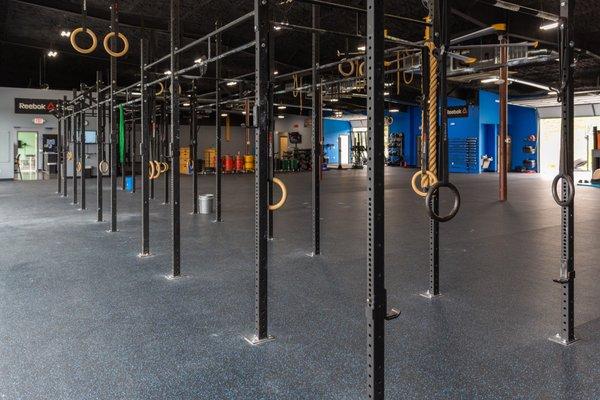 Over 65 feet of Rogue Rig