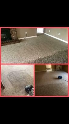 Extreme Carpet Cleaning