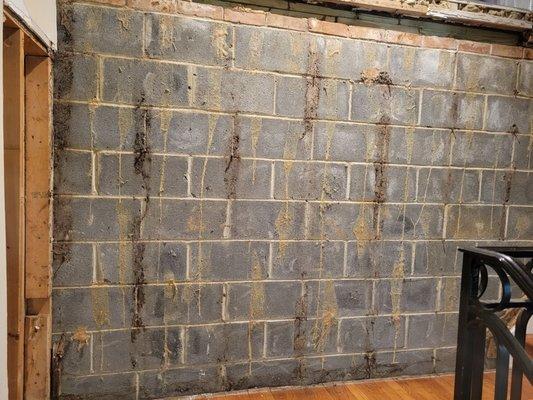 After having the drywall torn out here Oren decided that it would cost another $20,000 to finish the job!