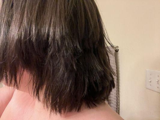 Ziba Beauty Hair & Brow