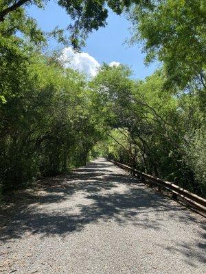 Resaca De La Palma State Park