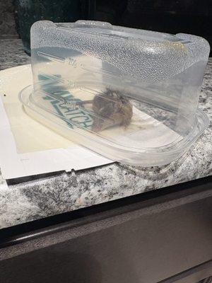 Woodland Heights Of Burlington