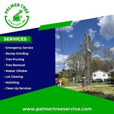 Palmer Tree Service