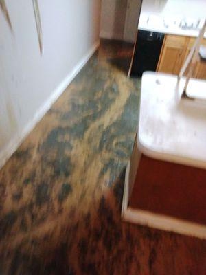 Pracleans Ground Keeping Service