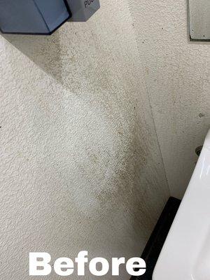 Xtreme Dirt Busters Cleaning Services