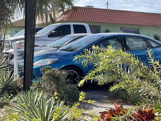 Nichols & Dimes Rent A Car Inc