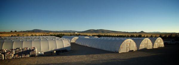 Prescott Valley Growers Wholesale