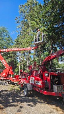 TNT Tree Service