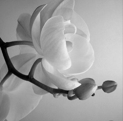 Matt's Better Bodywork