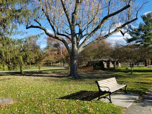 Benches along the path
