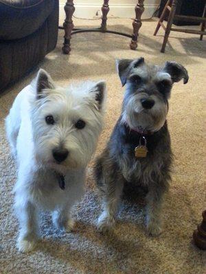 Wes and Abby say thank you.