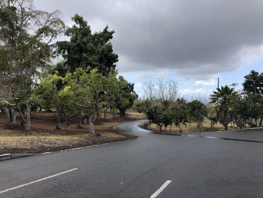 Manuka State Wayside Park