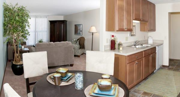 Kitchen and Living Room