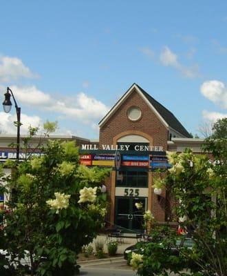 Celestial Derma Spa in Mill Valley Center