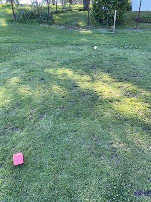 Mt Lebanon Golf Course