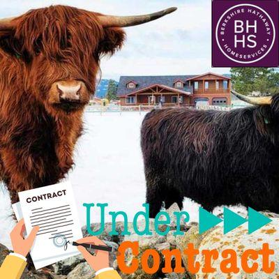 Ky Gardner- Berkshire Hathaway Home Services