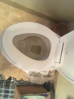 Yummy. Right? Disgusting.