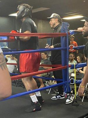 In the Ring! Ready Fight!