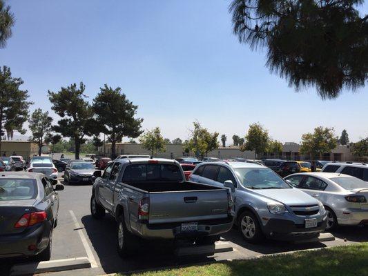 Bear Valley Elementary School