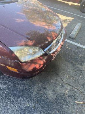 Tim Dominguez Injury Law