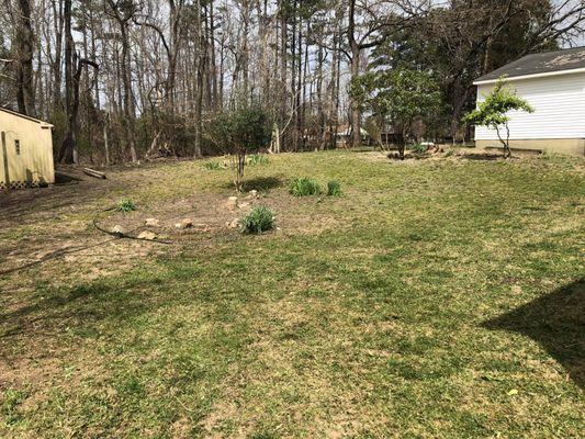 Southern Blue Lawn & Landscaping