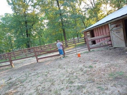 Long Family Construction And More Love You Mean It