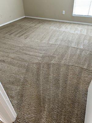 Rhema Carpet Care
