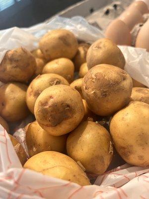 Bailey Cove Farmers' Market