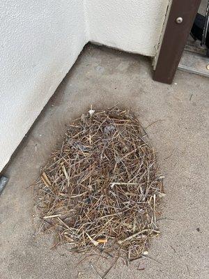 Honest Guys Duct Cleaning