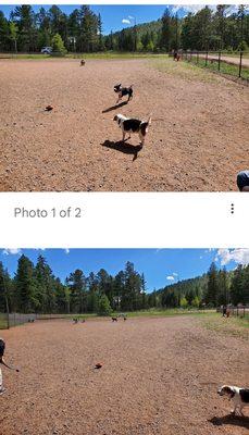 Meadow Wood Sports Complex