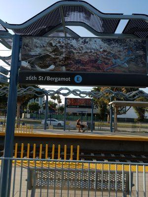 MTA Expo Line - 26th St/ Bergamot