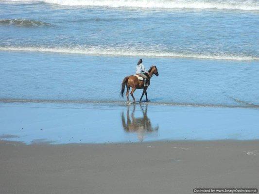 Coastal Mountain Realty