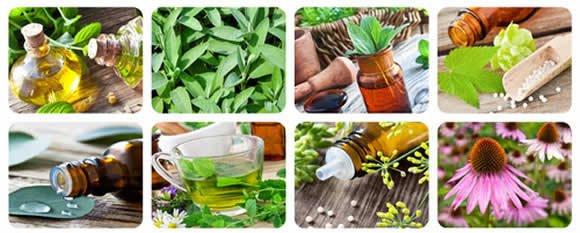 Herbal Medicines