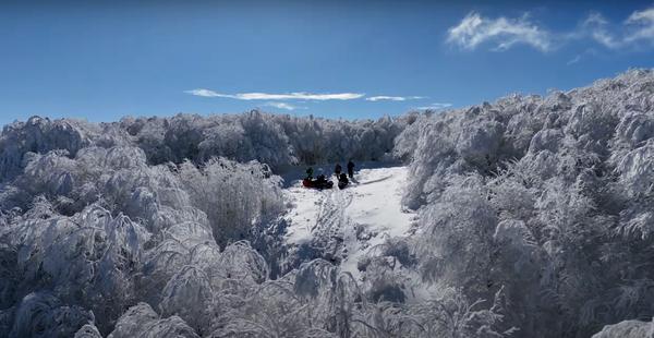 Camarata Property Maintenance