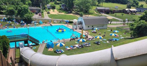 Pine Cove Swim Club