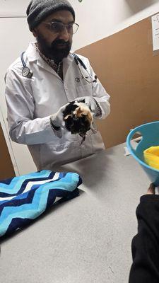 All Critters Pet Hospital