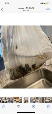 Nasty food found in cabinet upon move-in despite staff saying they cleaned prior.
