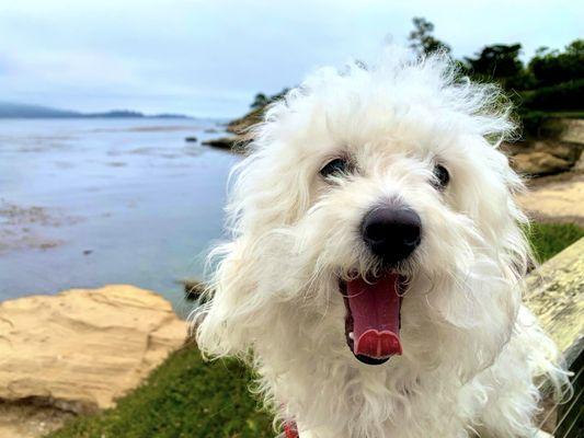 Stillwater Cove Beach