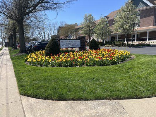 Brandywine Senior Care