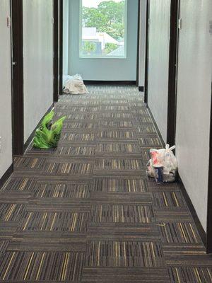 Trash filling the hallway and it stunk!!