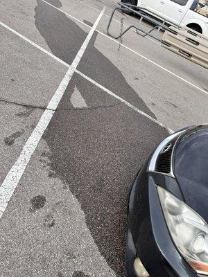 Different angle. Same photo.