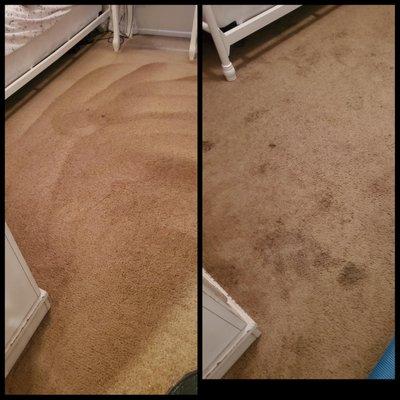 Ever Fresh Home Cleaning Services