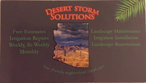 Desert Storm Solutions